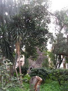 stione degli Infetti05-03-2014 07-41-10